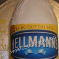mayo_wm
